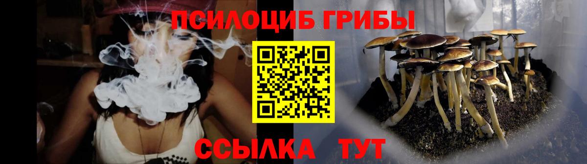 Псилоцибиновые грибы Psilocybe  купить   Отрадное  Вход с VPN 